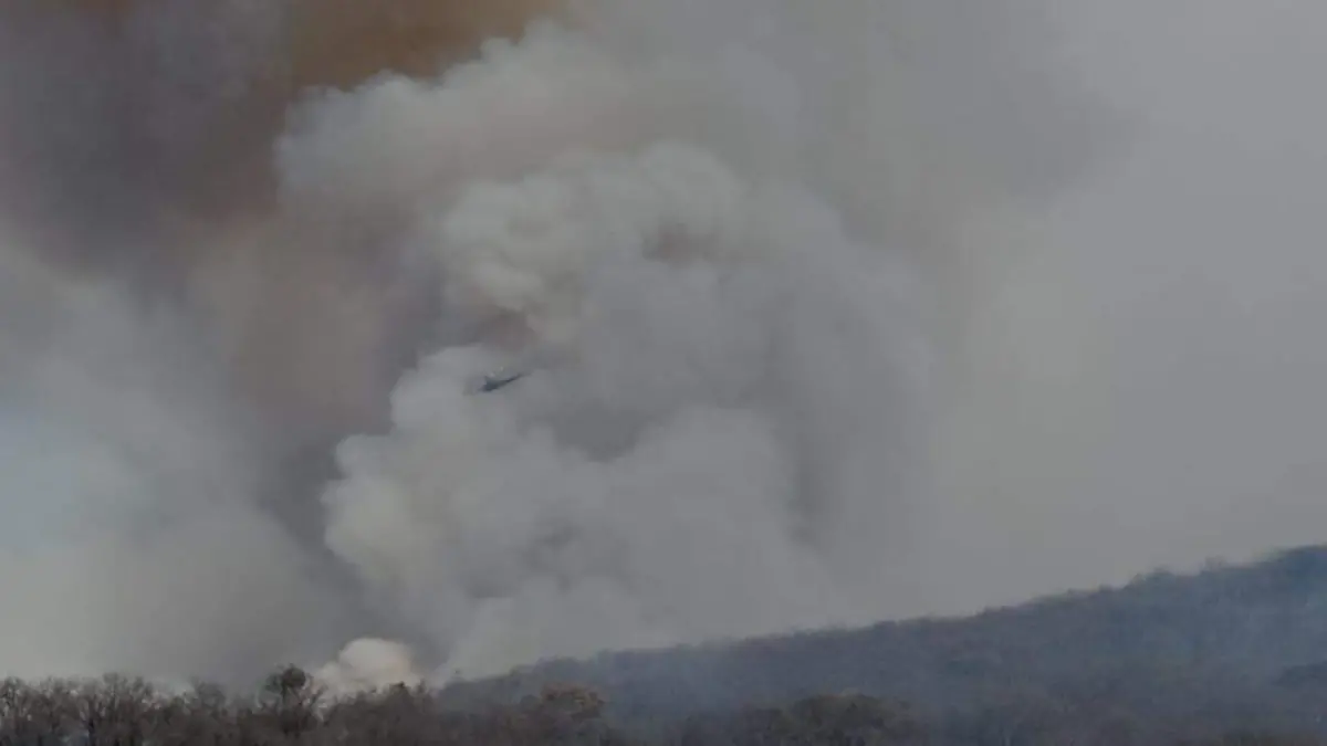 Brigadistas combaten incendio en el Cerro de Totolpetec